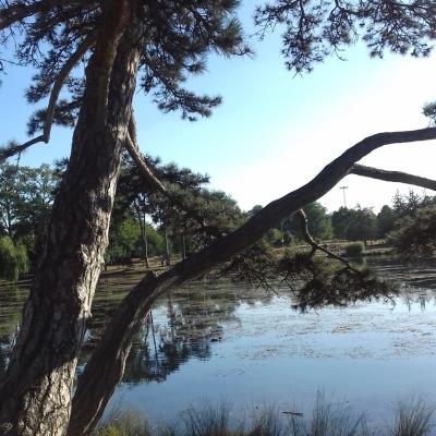 Jardins et parcs -