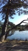 Jardins et parcs - A Paris -