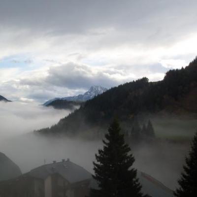 Paysage d'hiver