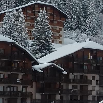 Paysage d'hiver