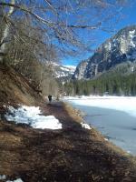 Paysage d'hiver