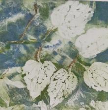 Gravure - Feuilles 2023